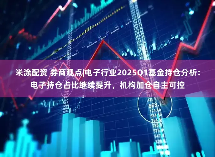 米涂配资 券商观点|电子行业2025Q1基金持仓分析：电子持仓占比继续提升，机构加仓自主可控