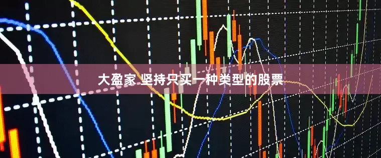 大盈家 坚持只买一种类型的股票