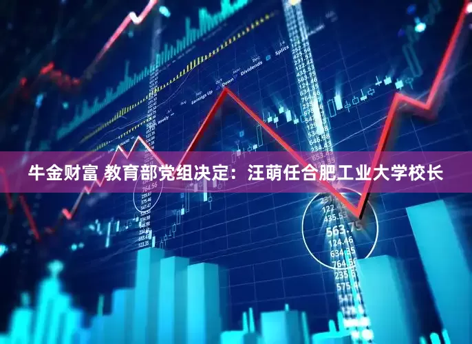 牛金财富 教育部党组决定：汪萌任合肥工业大学校长